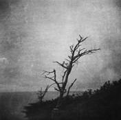 In_the_dark_places_with_the_dead_of_old