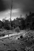 After_storm