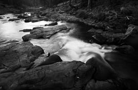 Untitled_11