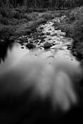 Untitled_2