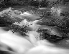 Untitled_4