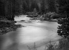 Untitled_7