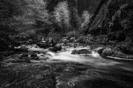 Untitled_8