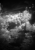 Lamar_lake_2