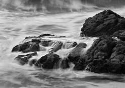Pescadero_sb_8407