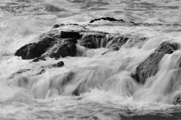 Pescadero_sb_8413