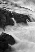 Pescadero_sb_8651
