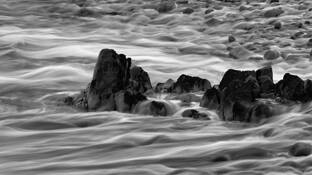 Pescadero_sb_8908