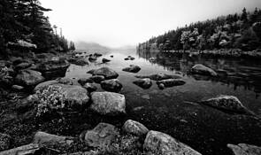 Untitled_2_tif