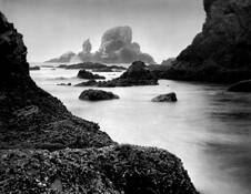 Oregon_coast_9
