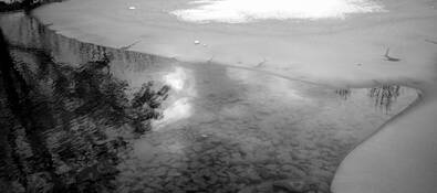 Reflections
