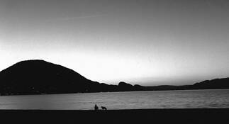 Silhouettes_in_the_night