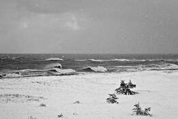 Low_beach