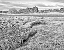 Mid_tide