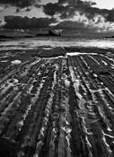 Rialto_beach_no__1
