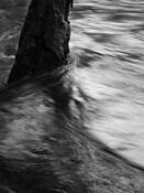 River_fight_1
