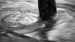 River_fight_2