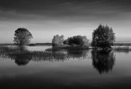 Dawn
