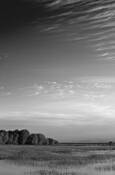 Spring_morning