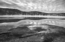 Reflections