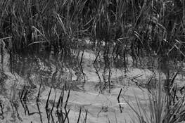 Aransas_channel