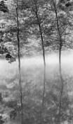 Hazel_creek