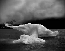 Whale_s_tail