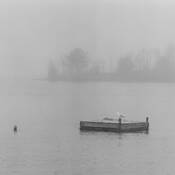 Solitude