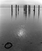 Untitled_24