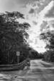 The_interminable_road_home