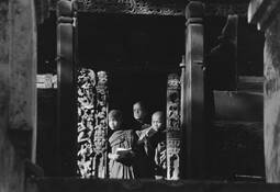 Boy_monks