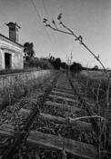 Railways_218