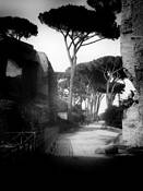 Forum_dreams