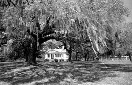 Old_house_plantation