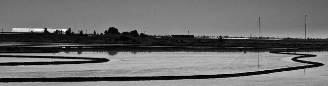 Yolo_causeway