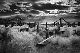 Broken_corral