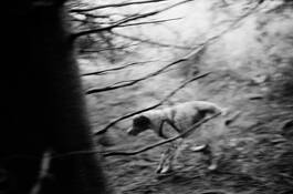Camden_morning_i