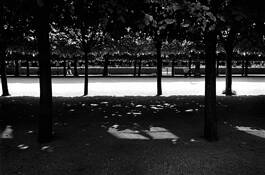 Homage_to_cartier-bresson__1