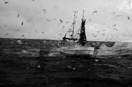 Fishing_boat