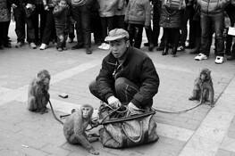 Man_and_monkey