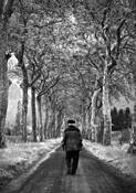 Going_home