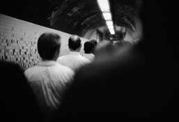 White_collar