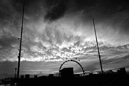 Untitled_1