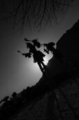 Dogon
