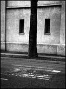 Illusion