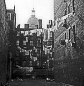Backyard_in_little_italy