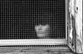 Soul_cage