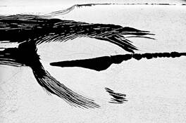 Desert_dragon