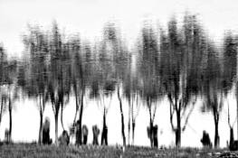 Untitled_1