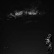 Moonlight